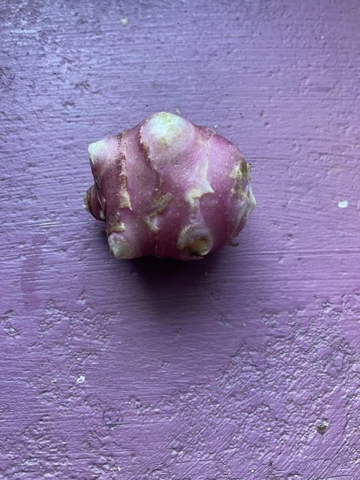 Topinambur słonecznik bulwiasty liście / bulwy świeże eko