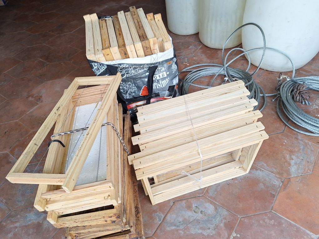 Quadros para Apicultura