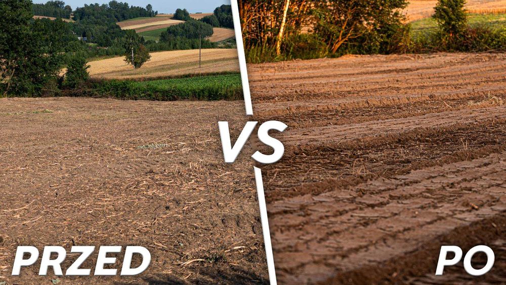 Wycinka Drzew, Mulczowanie, Frezowanie, Karczowanie