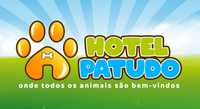 Pet Sitting - Hospedagem de Animais - Hotel Patudo