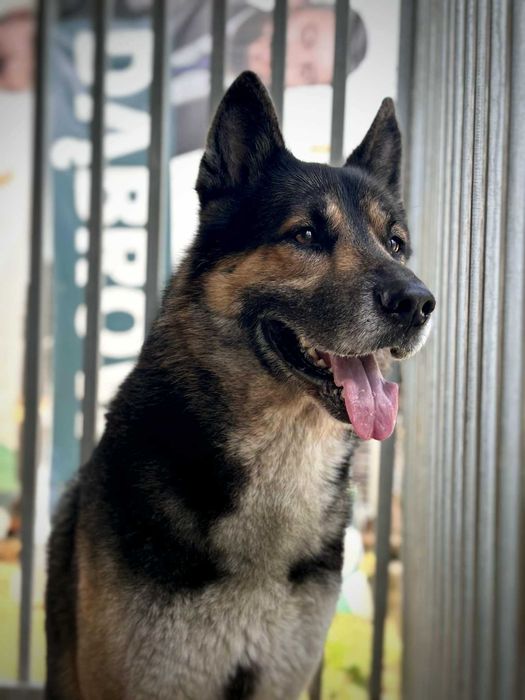 Dostojny Neo szuka domu...