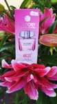 Al Fakhar ACO Roll on Victory Glowing Crystal 12ml
Poj. 12 ml