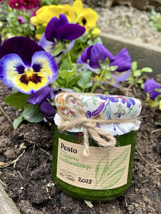 Pesto z czosnku niedzwiedziego - 21 sztuk 2025