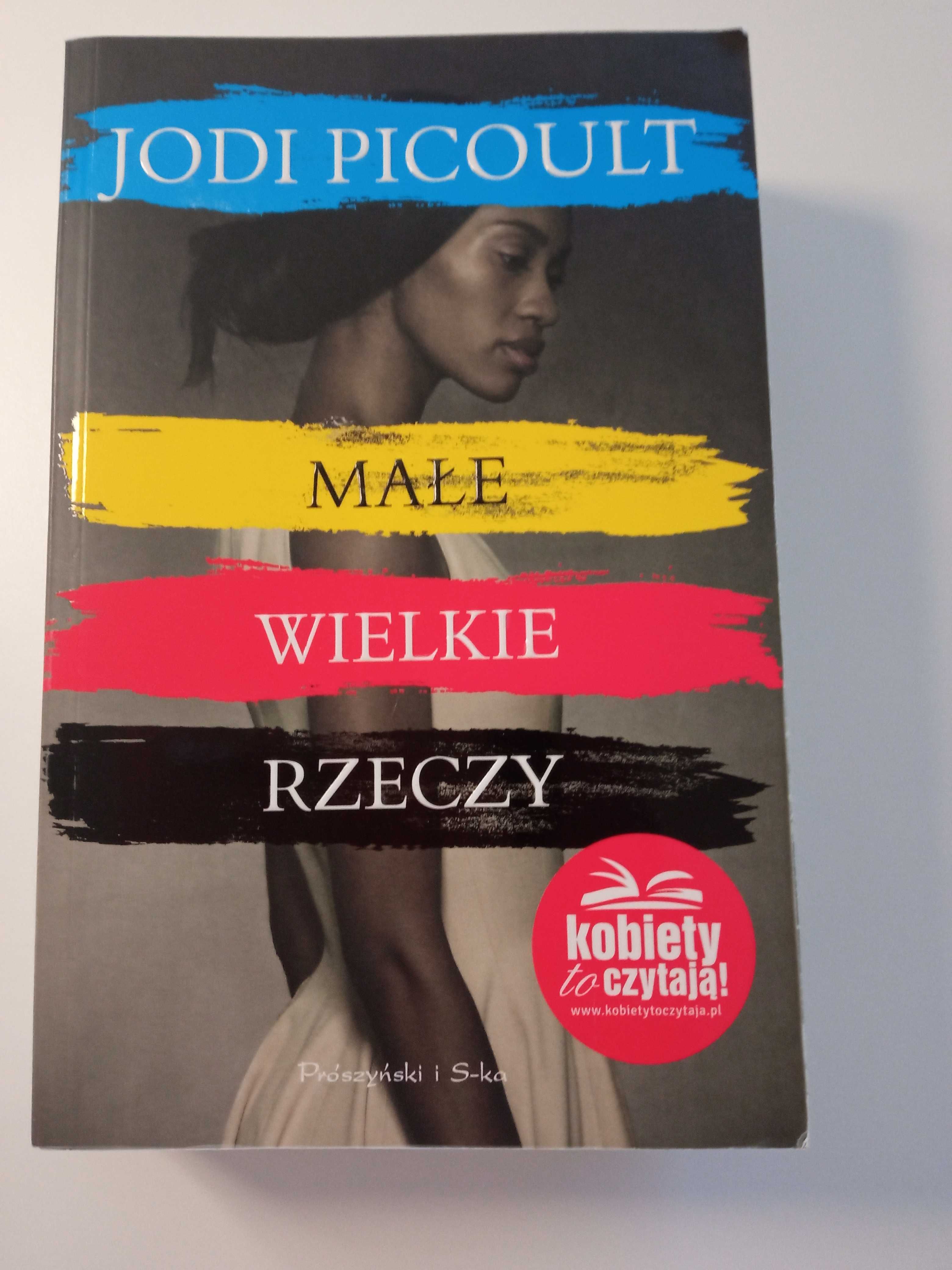 Małe wielkie rzeczy. Jodi Picoult