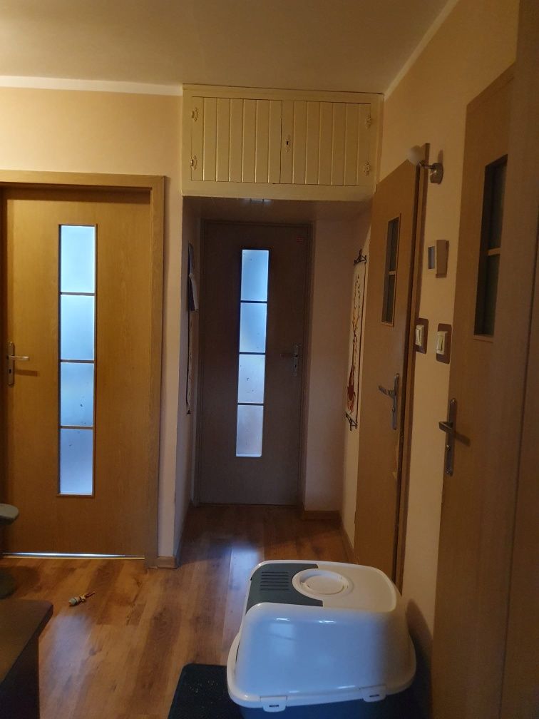 Mieszkanie na parterze 3 pokojowe,duży balkon, piwnica