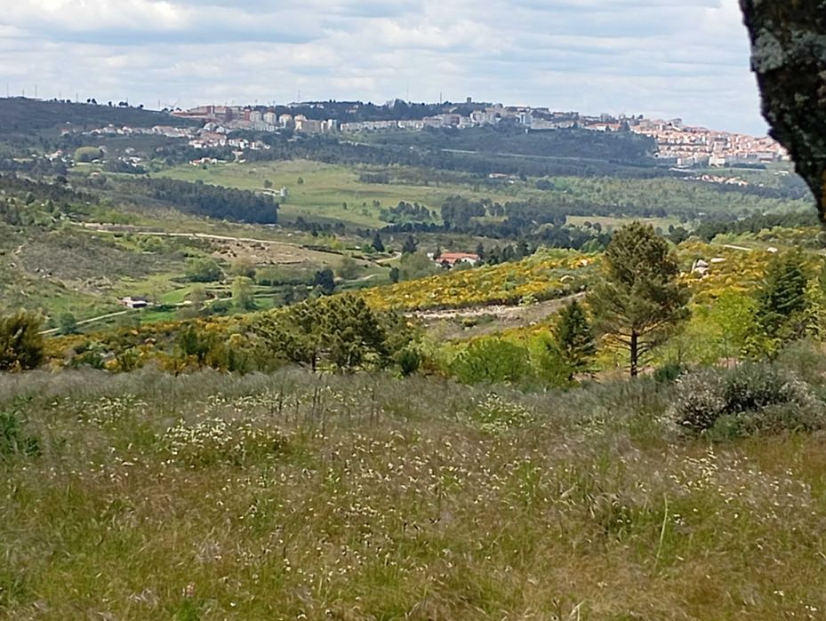 Quintinha a 7 km do centro da guarda
