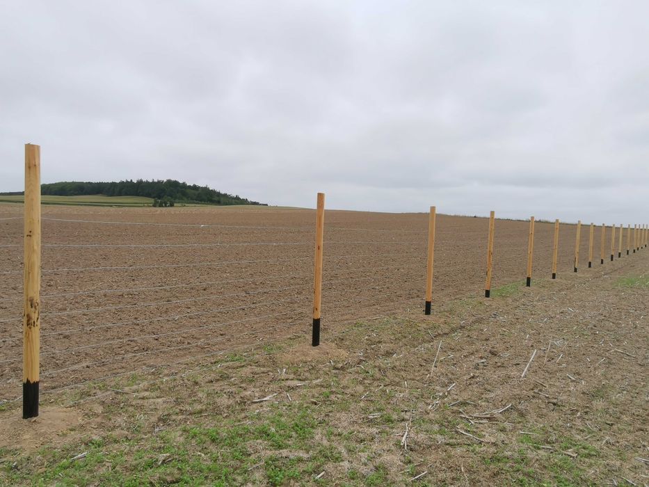 Ogrodzenia tymczasowe budowlane leśne Betonowe Słupki toczone