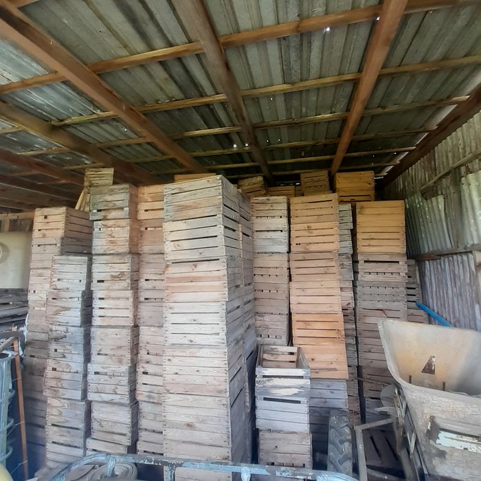 Klatki,jedynki,ok 250 sztuk