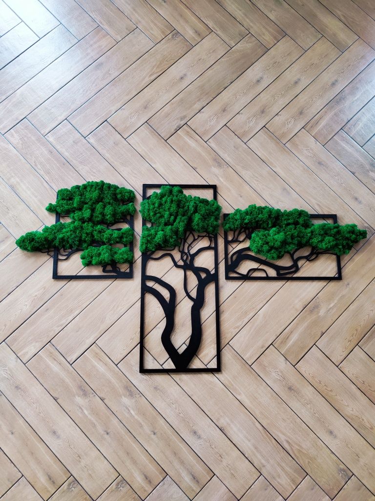 Drzewo bonsai obraz mech chrobotek