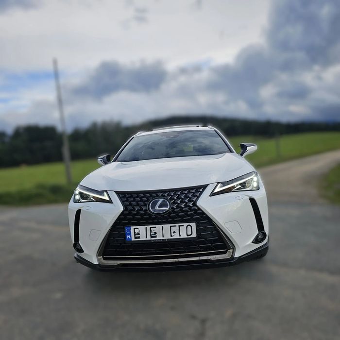 Lexus UX Lexus UX 250h AWD , Super stan i wyposażenie