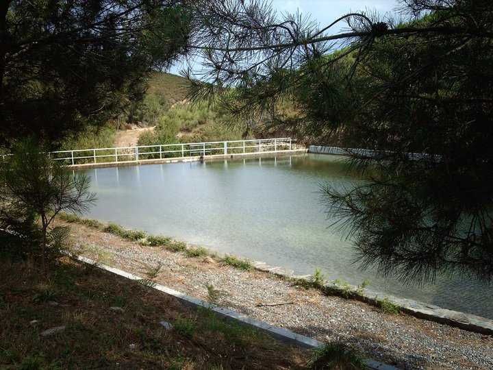 Terrenos Em Vidual de Cima - Pampilhosa da Serra