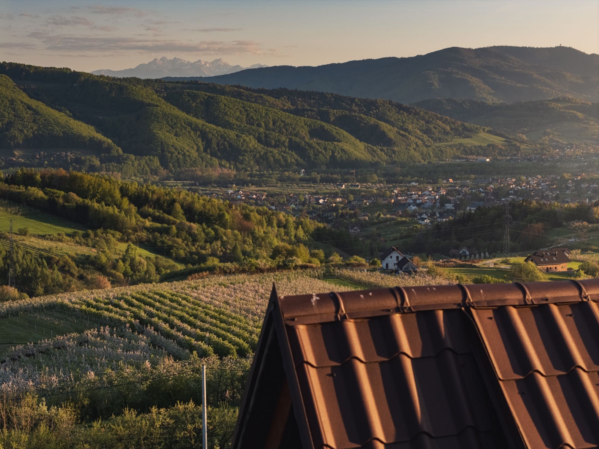 Domek Nad Sadem z widokiem - góry Beskid Sądecki