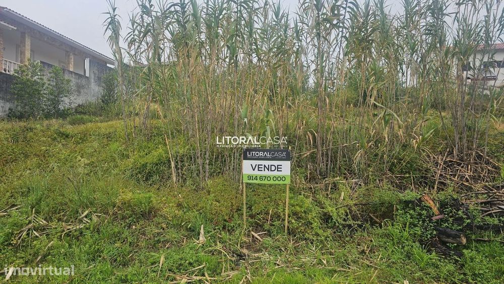 Lote Terreno | Moradia Isolada