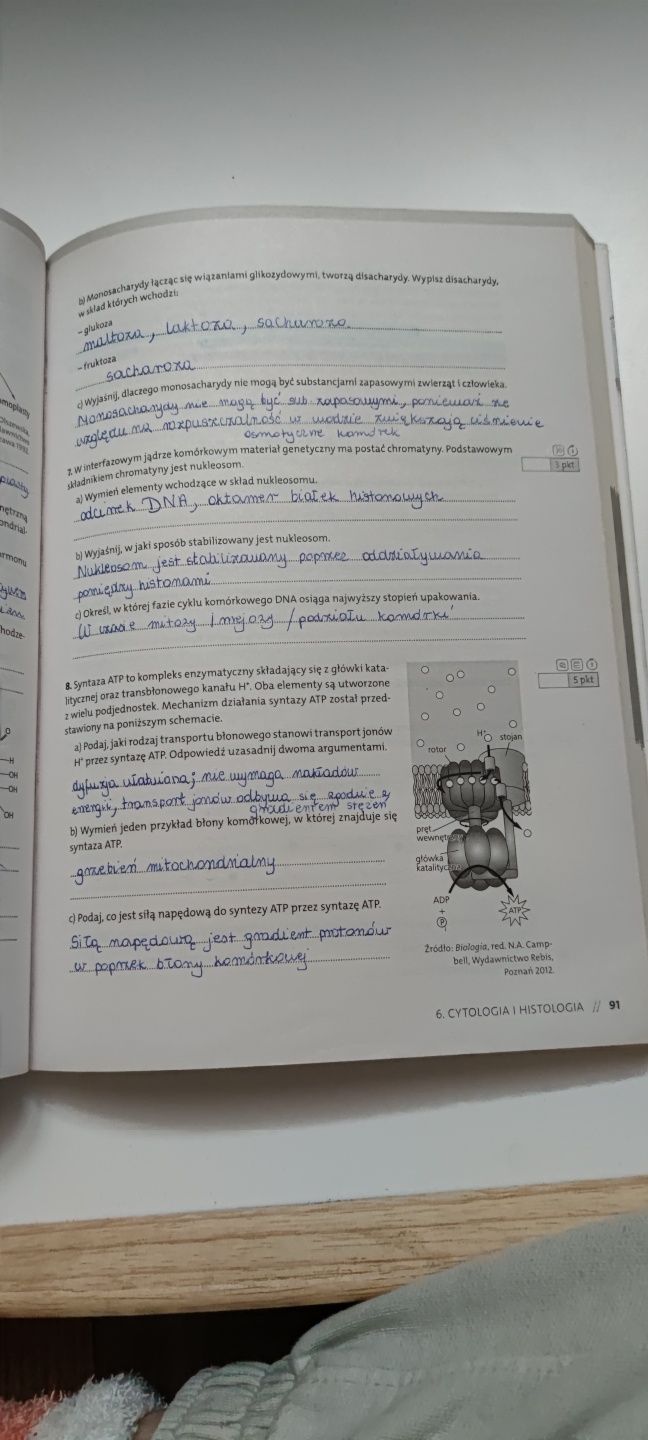 Operon testy i arkusze z odpowiedziami biologia