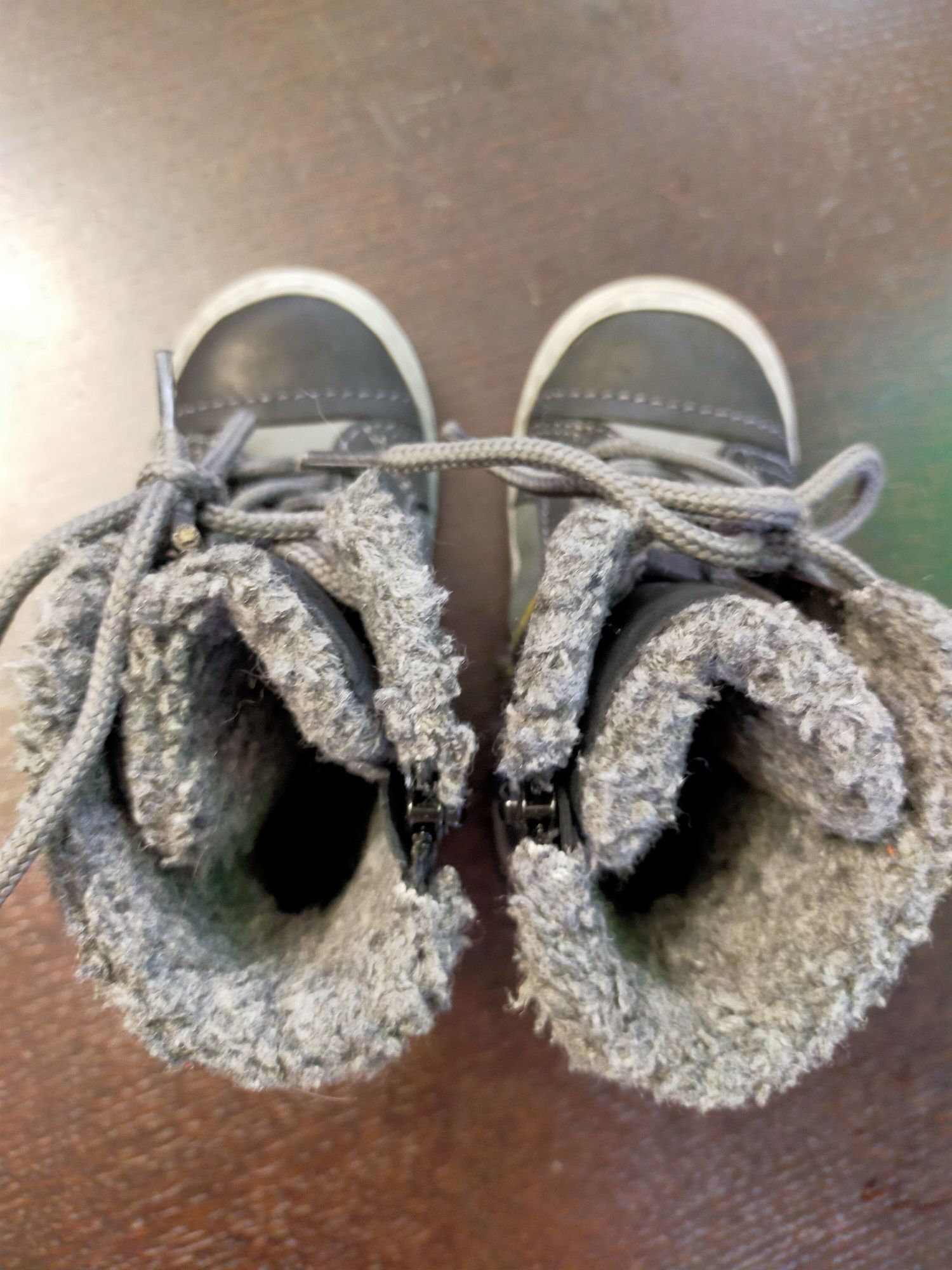 Kozaki Lasocki r. 21