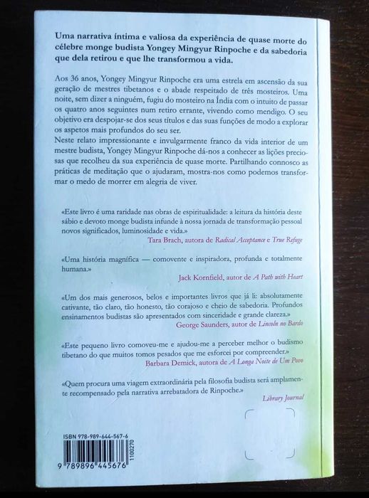 Amar o Mundo - Yongey Mingyur Rinpoche