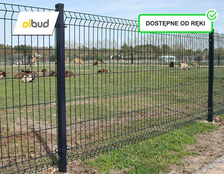 Ogrodzenie panelowe cena 1mb 1230 GRAFIT panel ogrodzeniowy 3D Żukowo