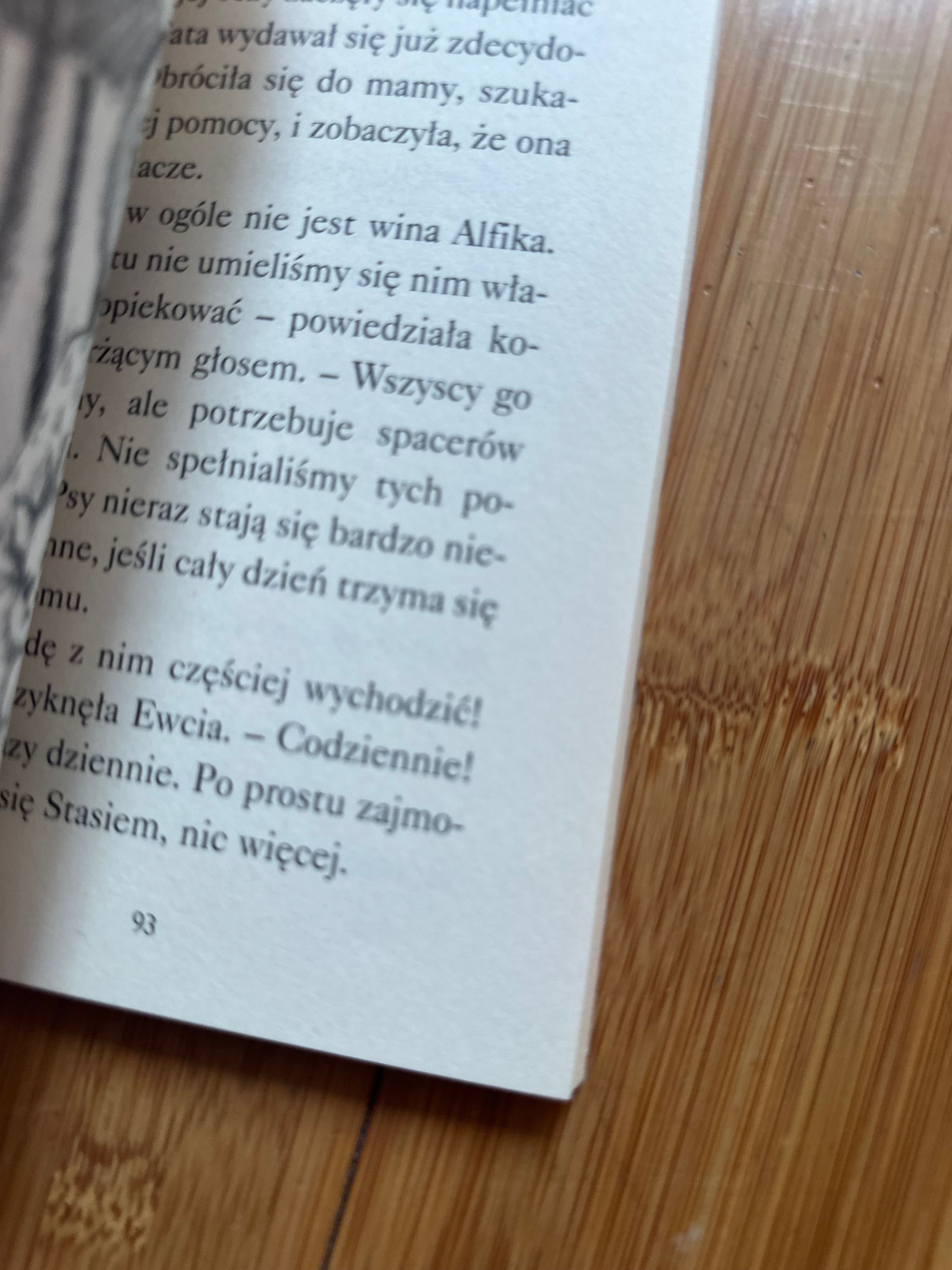 Wróć, Alfiku! Holly Webb seria Zaopiekuj się mną książka dla dzieci