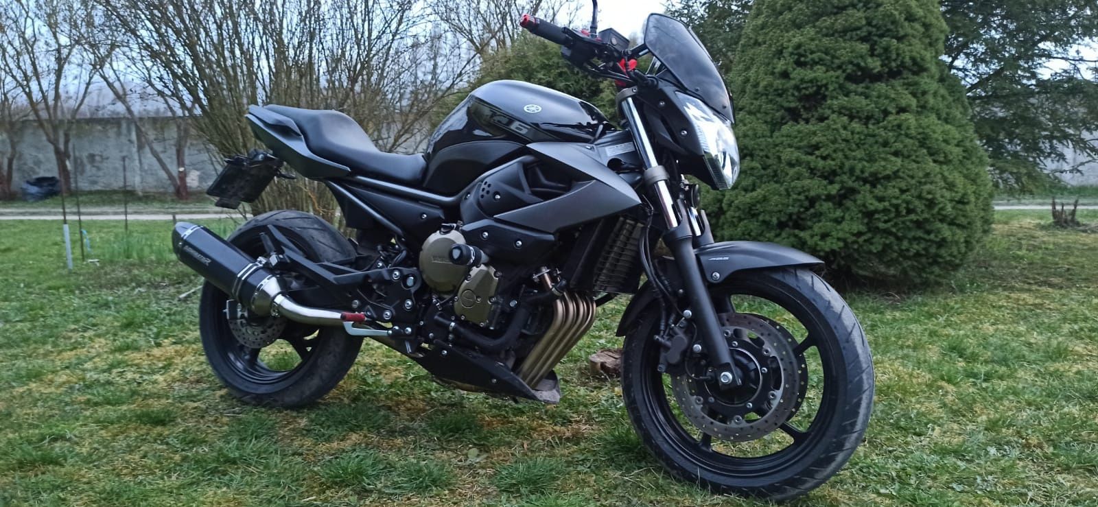 Yamaha XJ6N pryw