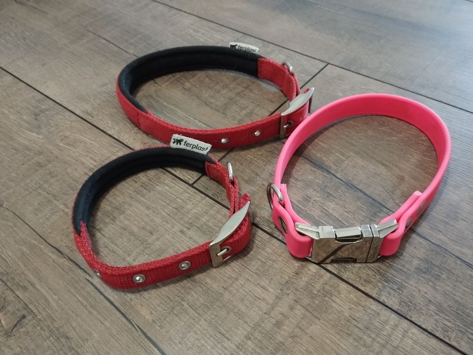 Нашийник для собак