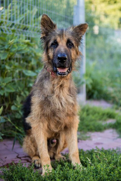 Laki wyrwany z piekła chce uwierzyć że może być dobrze