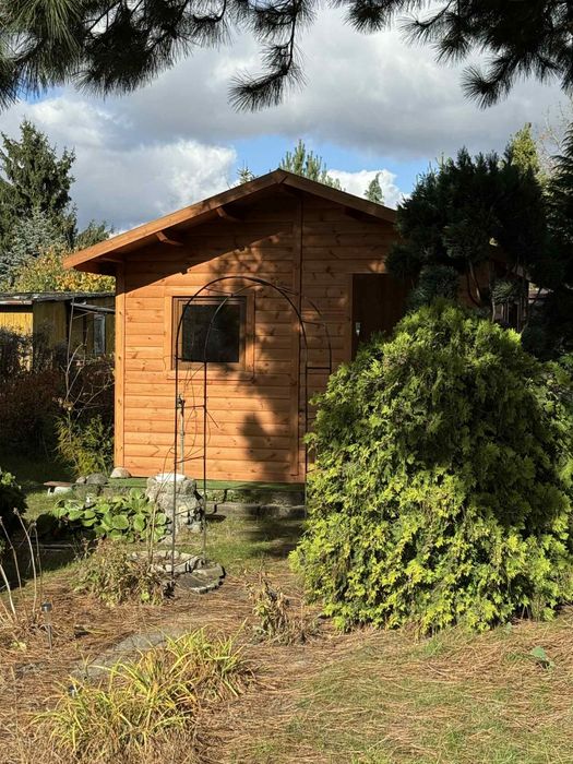 Dzialka ROD Millenium -zadbana