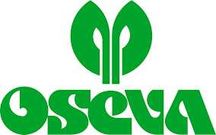 Kukurydza Cedrak fao 140 najwcześniejsza Pyroxenia 80tys