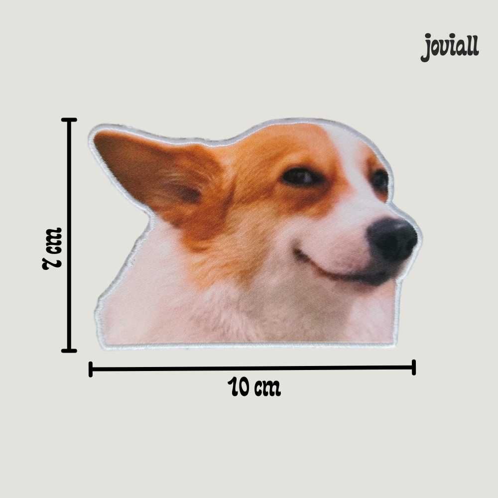 Emblema universitário "Cão sorridente"