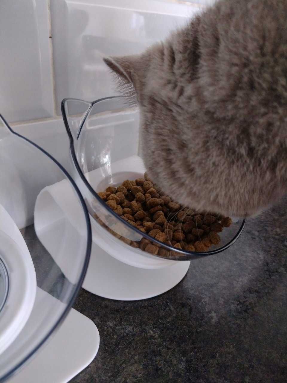 Dwie miski dla psa kota wygodne do karmienia 2 x 500 ml