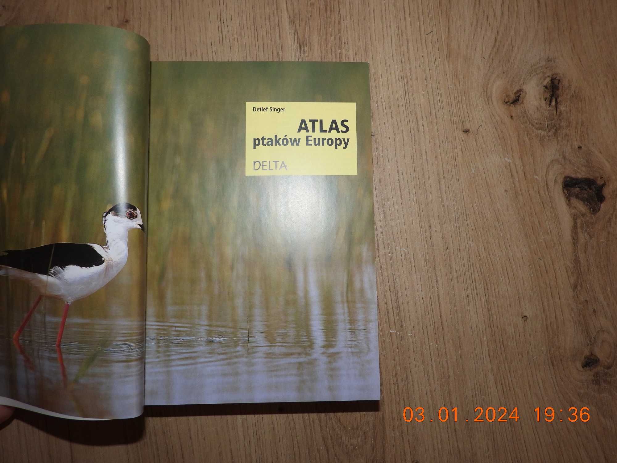 Atlas Ptaków Europy - Detlef Singer   - jak NOWA