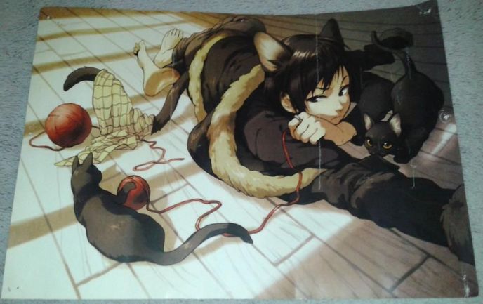 Plakat: 2xDurarara i Pandora Hearts /Anime, Manga, Otaku