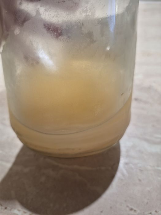 Matka octowa jabłkowa