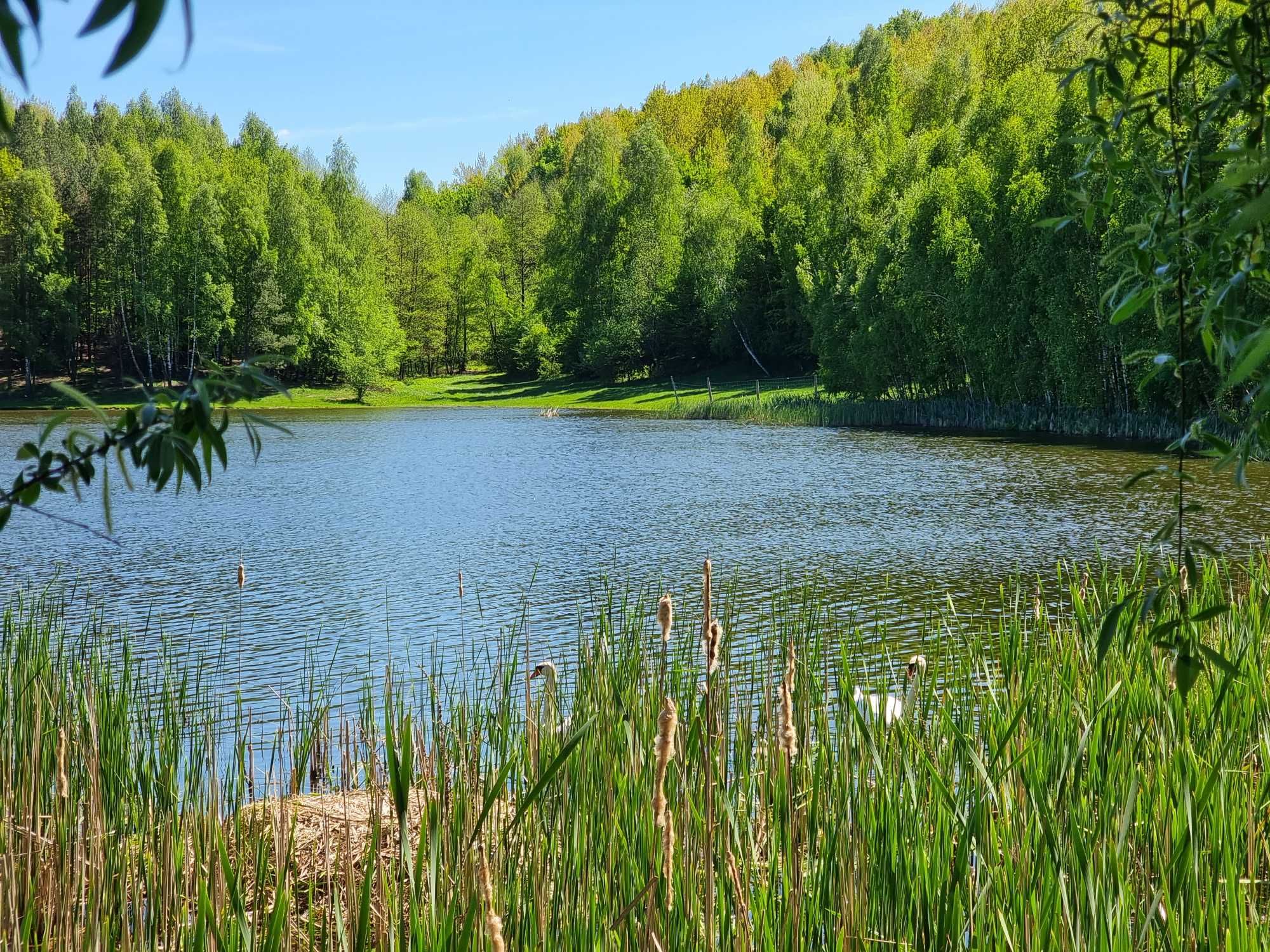 Działka 6,1 ha - prywatne jezioro Ulkowy.