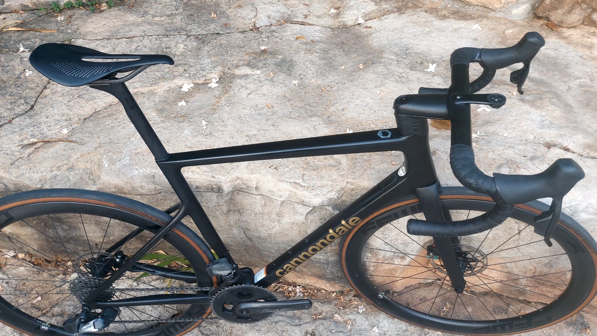 Mafrabike  Canondalle  Supersix Evo Disco  t54