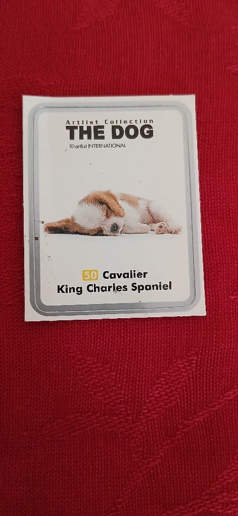 Autocolante The Dog n° 50
