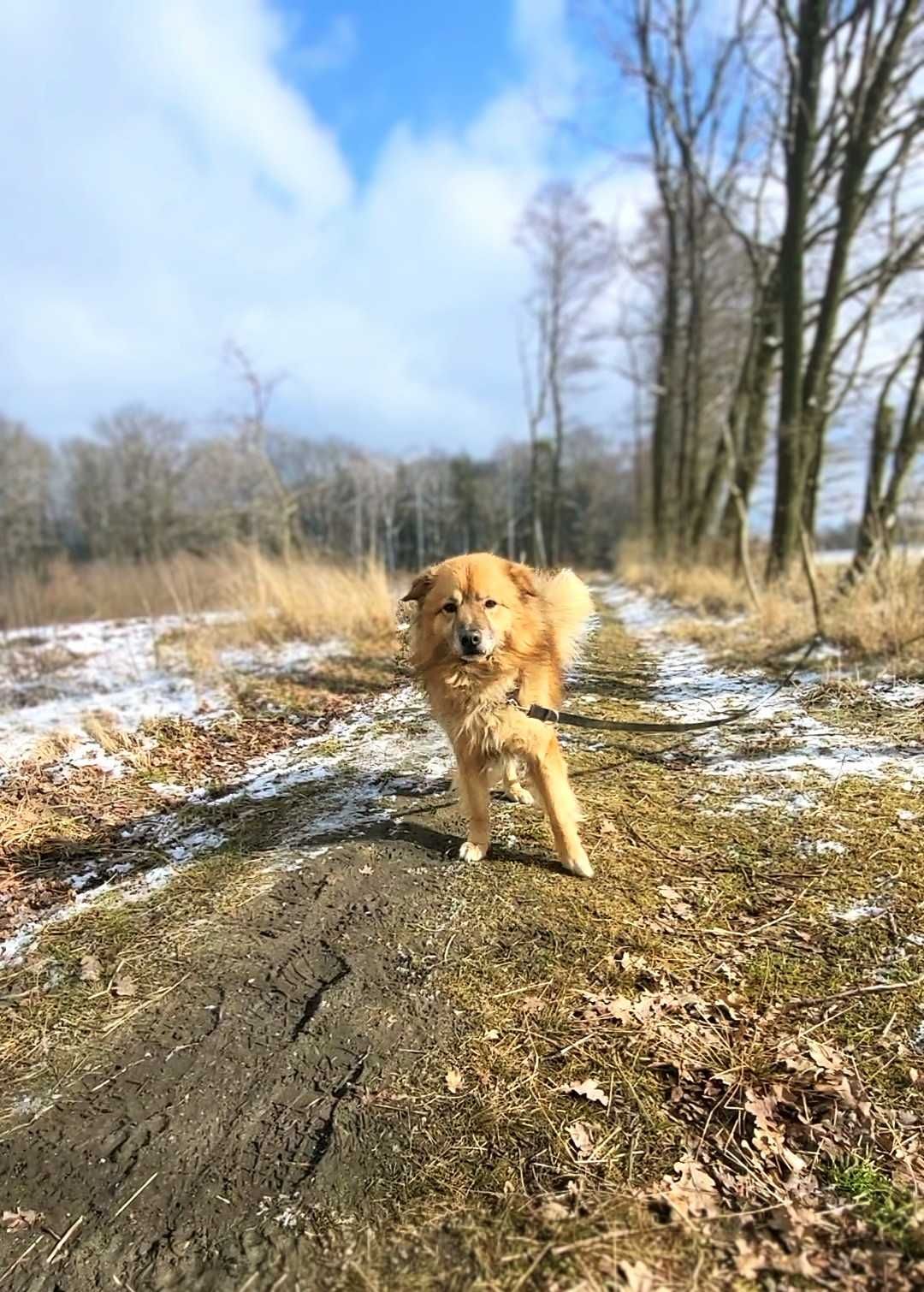 Bąbel - Może to dzięki Tobie, jego historia zakończy się happy endem?