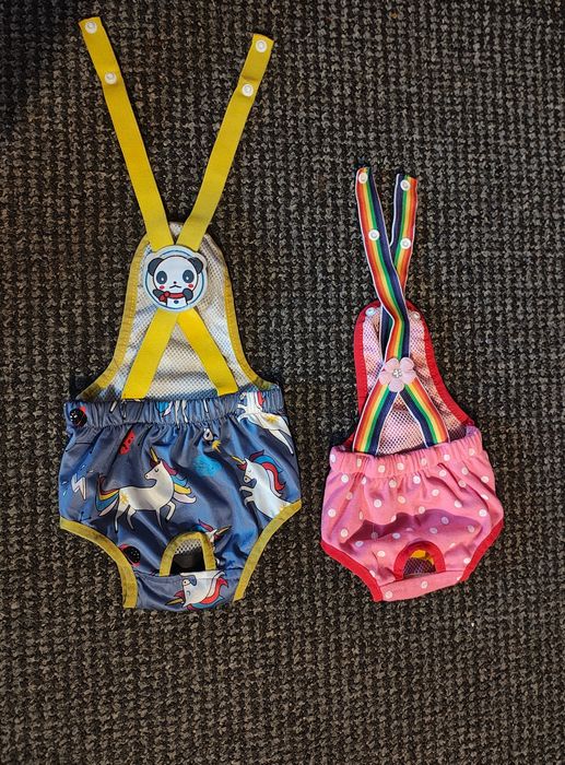 Majteczki na cieczkę dla małego pieska