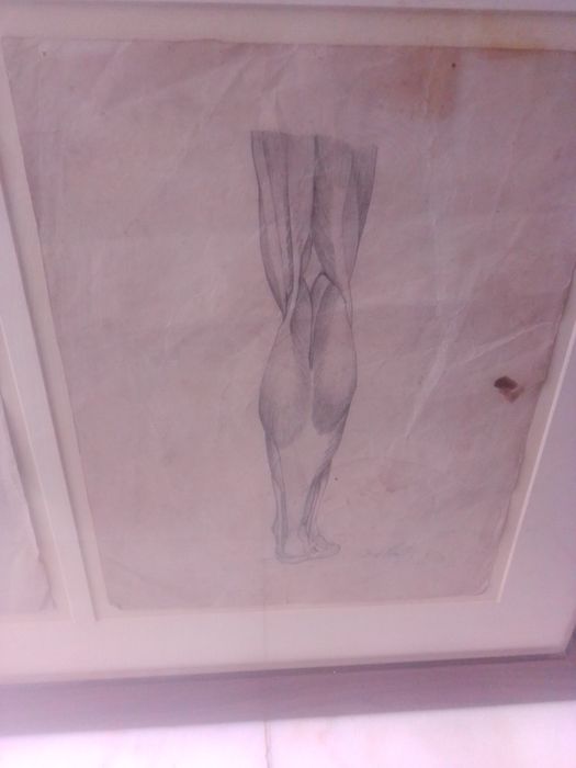 Quadro Músculo Gêmeos