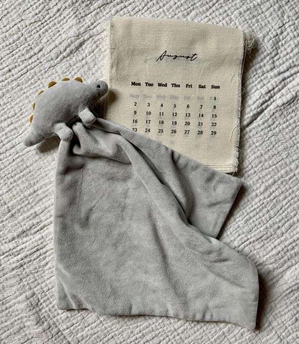 Комфортер динозаврик