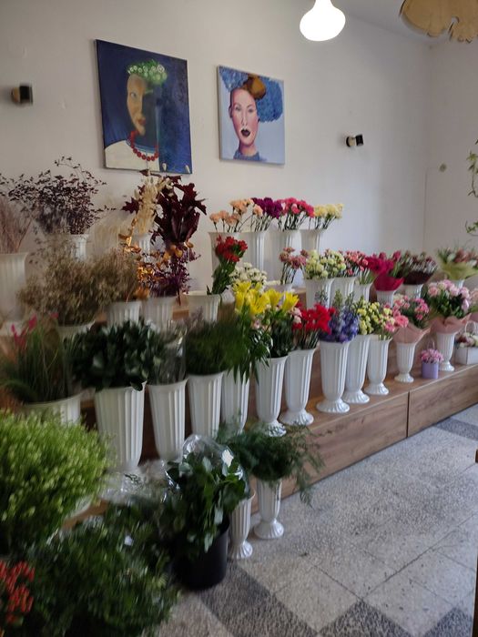 Schody ekspozycyjne sklepowe 600zł sztuka