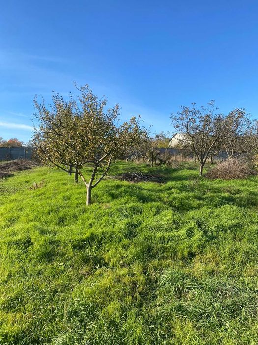 Продам фермерське господарство / виробниче приміщення