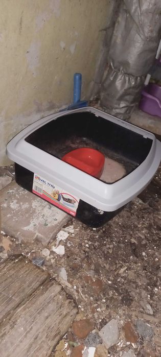 Продам лоток для котов с миской м лопаткой