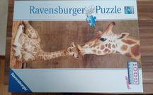 Puzzle 1000 elementów "Żyrafy"