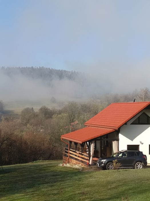 Domki w Bieszczadach noclegi Bieszczady ,, Dzika Jabłoń,,