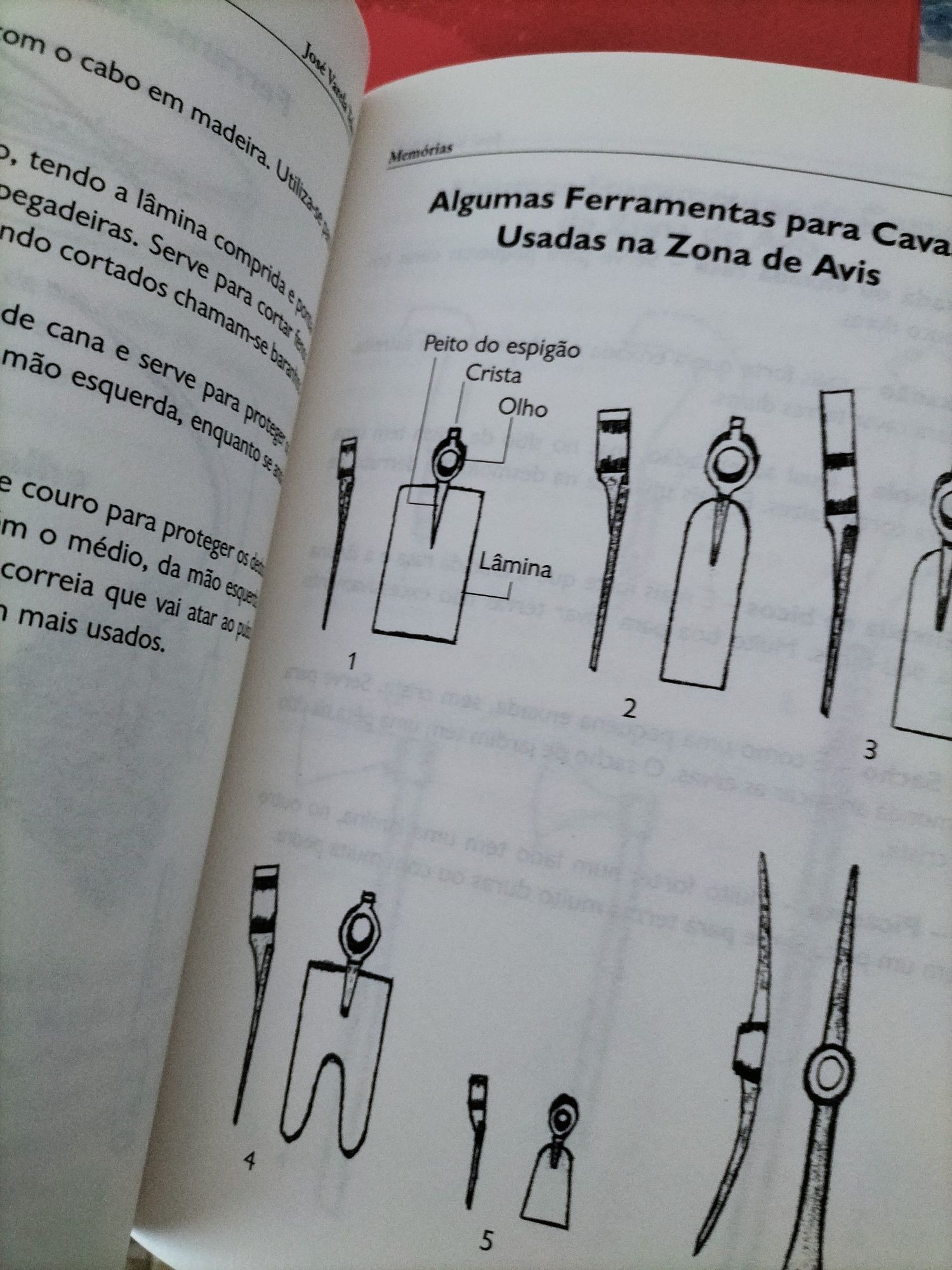 Livro "Memórias" de José Varela Teles