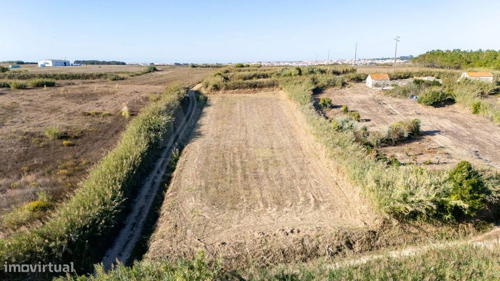 Terreno Rústico com 3.600 m² em Atouguia da Baleia