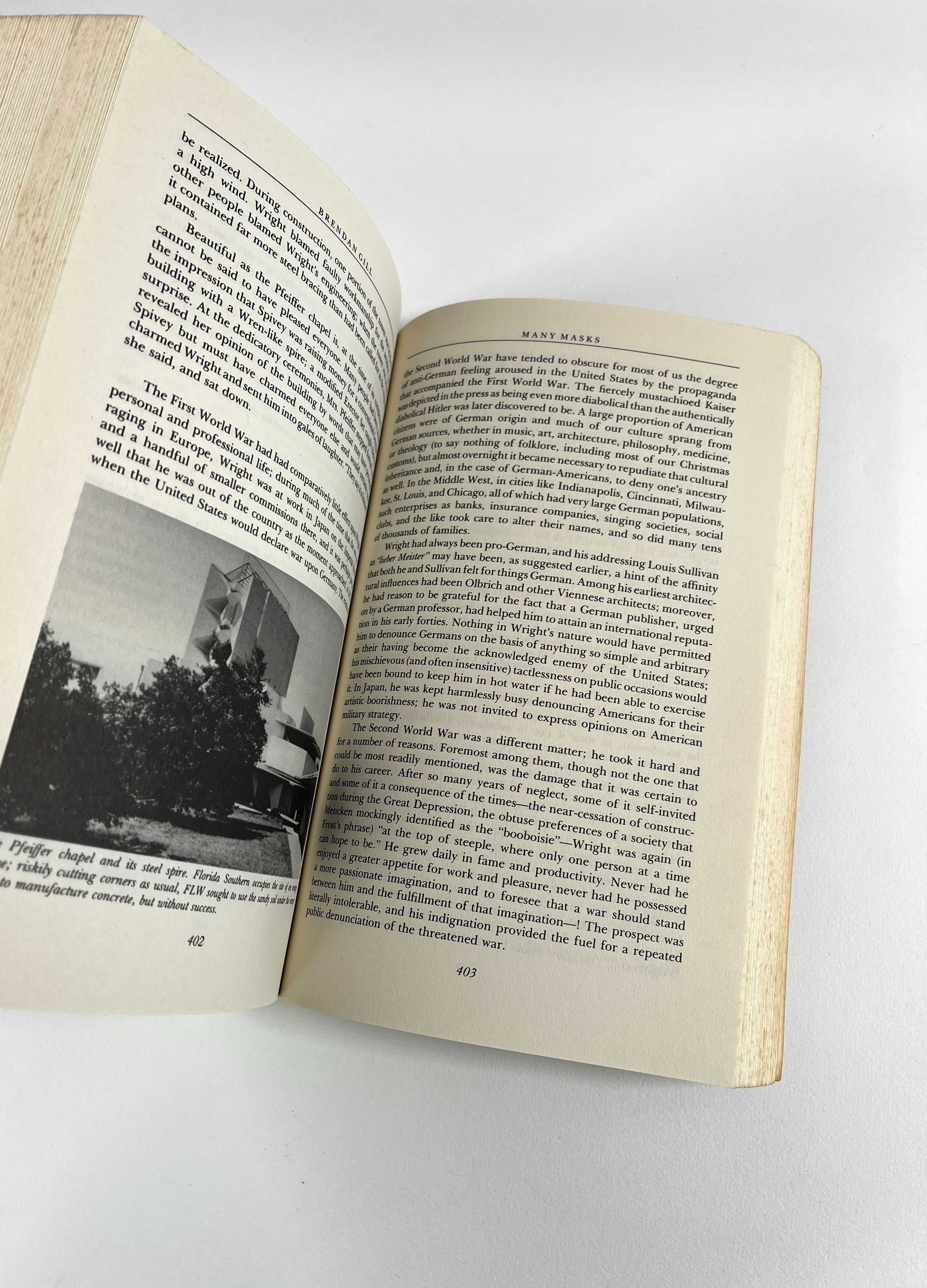 Many Masks a Life of Frank Lloyd Wright Brendan Gill Livro Arquitetura