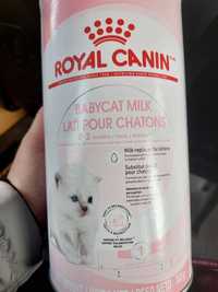 Замінник молока Royal Canin BabyCat Milk 100 г для кошенят з народженн