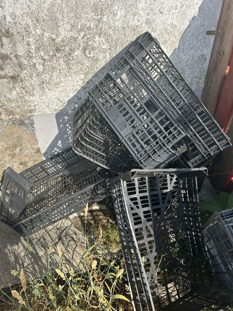 Cestos de plastico