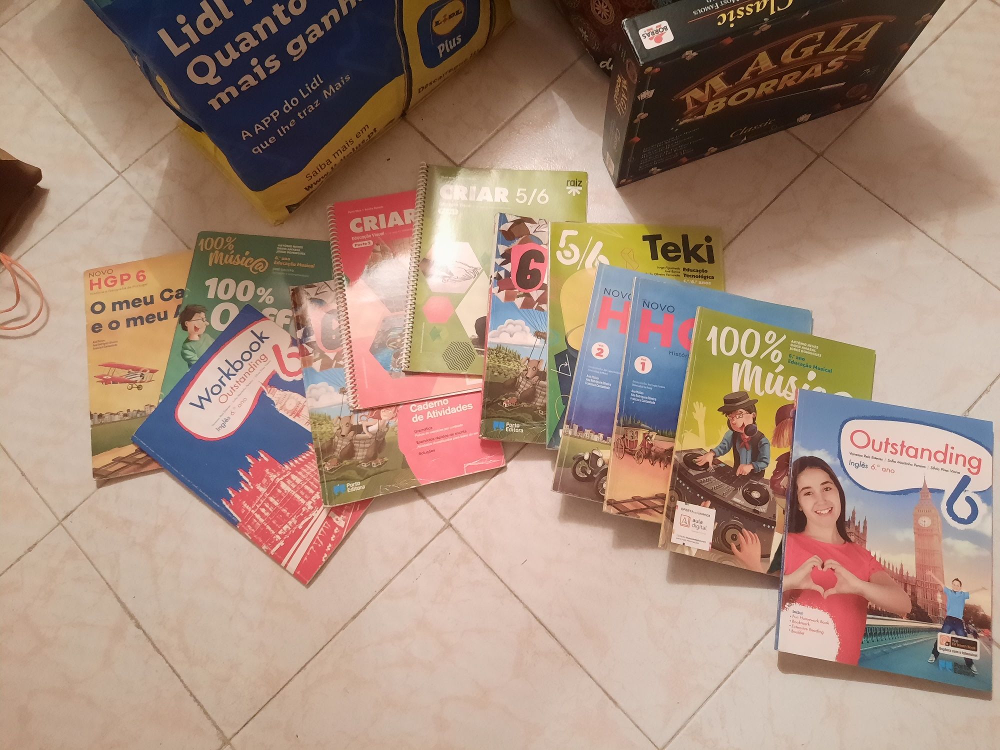 Manuais (não atualizados com o Novos programa) 6°ano